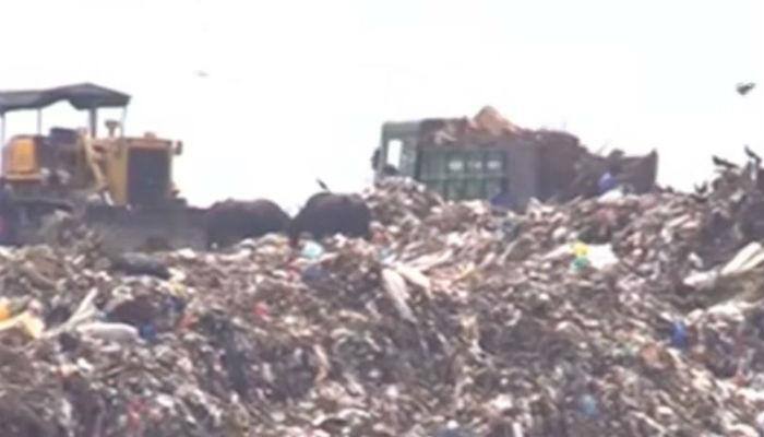 Chennai's IT hub turns into huge garbage dumpyard