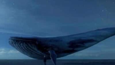 Goa releases new Blue Whale advisory for schools