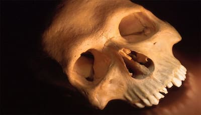 Ancient human skull of world's oldest-known tsunami victim found