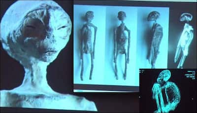 'Mummified aliens' found in Peru are real, claims scientist 