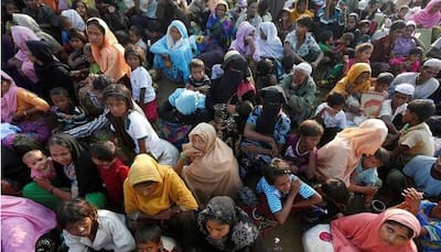 India will see if Rohingyas can return to Myanmar, says Foreign Secretary 