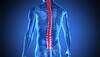 Spinal cord can now be repaired with silk