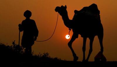 Festivals to attend in Rajasthan in November