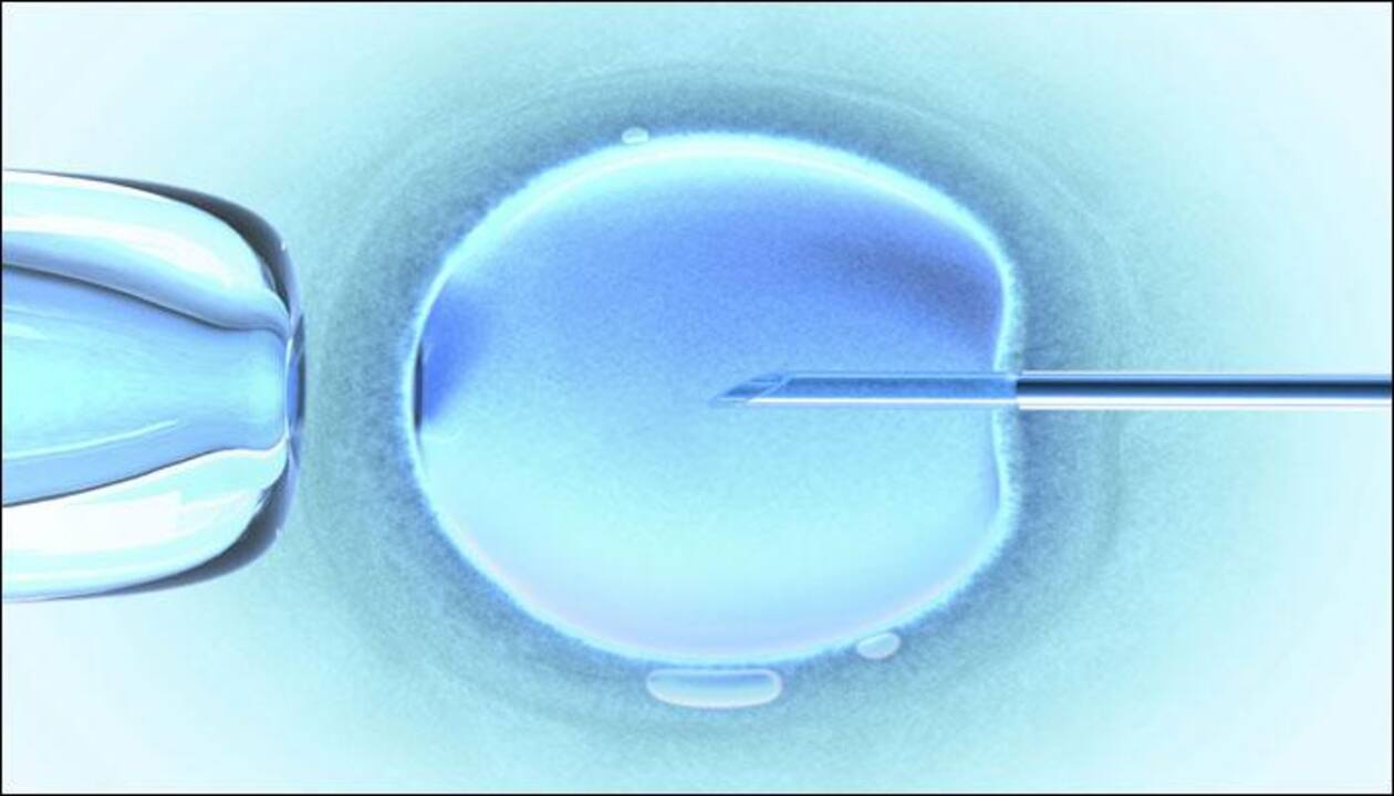 Need For More IVF Focuses The nation over
