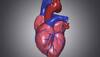 Older adults with high thyroid hormone levels at heart disease risk