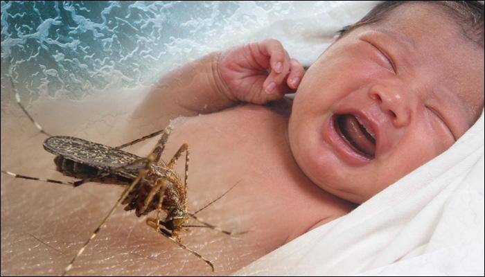 Get tested for Zika more than once, study advises mothers-to-be