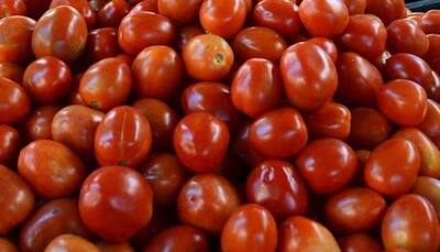 As tomato prices hit Rs 100/kg mark, this app offers them at Re 1