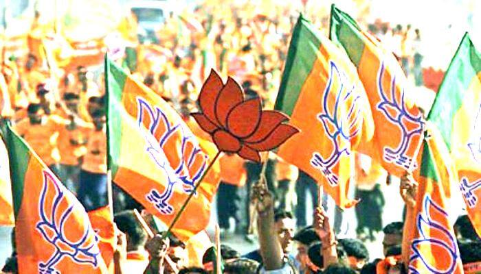 BJP holds anti-Pak protests in Jammu against Gowhar's killing