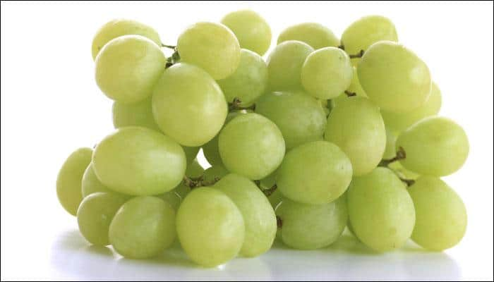 Humans began eating grapes 22,000 years ago: Study