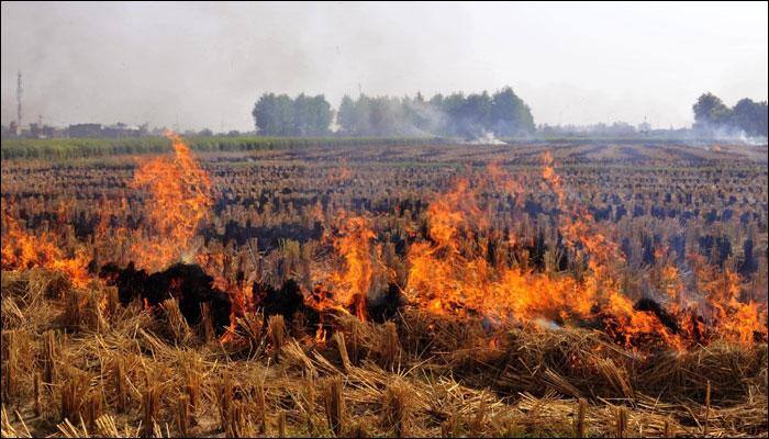 Pakistan blames Indian farmers for smog
