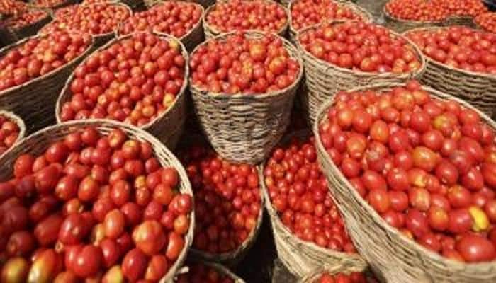 Delhi govt&#039;s crackdown on hoarders as tomato, onion prices soar