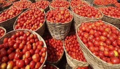Delhi govt's crackdown on hoarders as tomato, onion prices soar