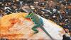 Geckos' tail-regrowth cells could coax human spinal injuries to heal: Scientists