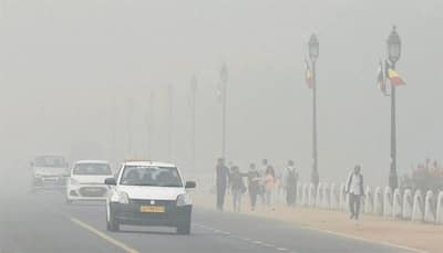 Delhi air pollution: Schools shut; trains, flights affected. Crop burning smoke chokes Delhi for second day