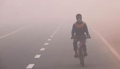 Delhi schools, colleges to remain shut till Sunday as smog continues