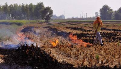 North India gasps, chokes. But crop burning continues