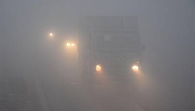 Delhi air pollution - In Pics