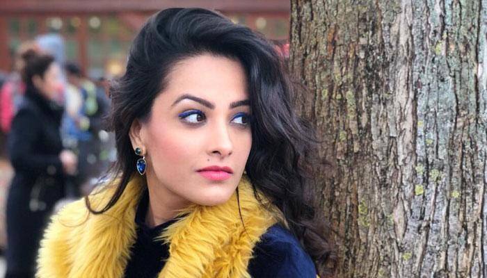 Anita Hassanandani calls Bigg Boss 11 fakest season ever!