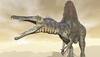 Mass extinction