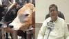 Alwar killing by gau rakshaks: Don't have enough manpower to control crime, says Rajasthan Home Minister