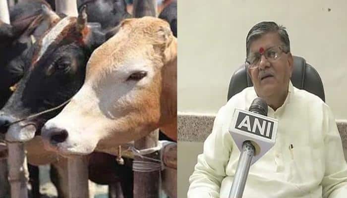 Alwar killing by gau rakshaks: Don't have enough manpower to control crime, says Rajasthan Home Minister