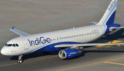 Indigo in trouble again? Airline apologises after passenger falls off from wheelchair