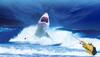 This doctor's miraculous escape from shark attack