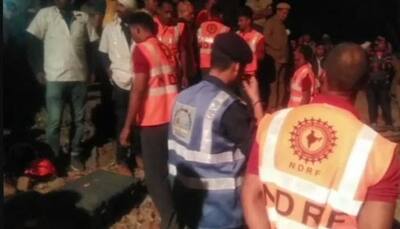 Rajasthan: 5-year-old, rescued from borewell, dies