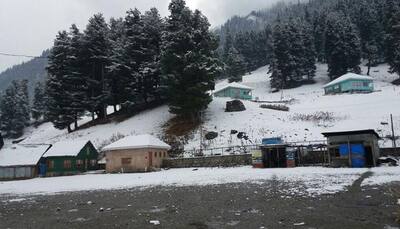 Sonamarg in Kashmir gets season's first snowfall - See pics