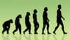 Human evolution is uneven, punctuated: Study