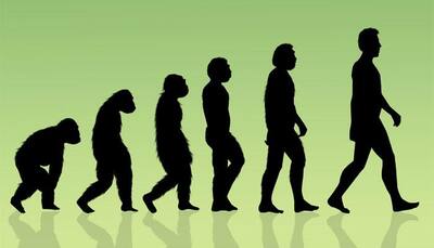 Human evolution is uneven, punctuated: Study