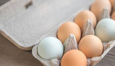 Eggs get costlier as winters knock the door