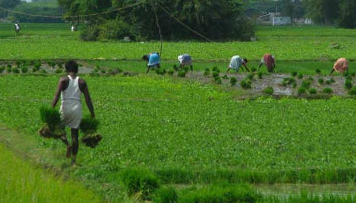 &#039;Kisan Mela&#039; to fulfil PM Narendra Modi&#039;s vision of doubling farmers&#039; income