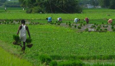 'Kisan Mela' to fulfil PM Narendra Modi's vision of doubling farmers' income