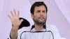 Gujarat Elections 2017: Govt murdered Rohith Vemula, he didn't commit suicide, alleges Rahul Gandhi