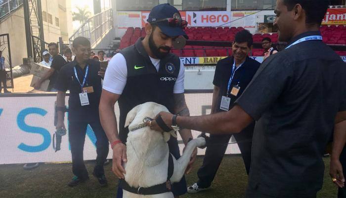 WATCH: Virat Kohli's love affair with dogs continues in Nagpur