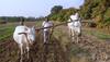 Bill to set up commission for farmers' empowerment to be moved in Punjab Assembly