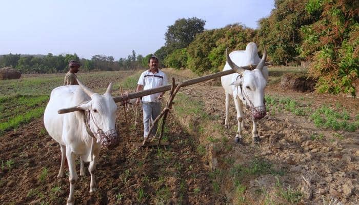 Bill to set up commission for farmers' empowerment to be moved in Punjab Assembly