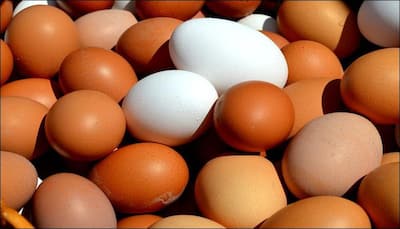 Are eggs vegetarian or non-vegetarian? Scientists finally put an end to the debate