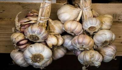 Garlic consumption may help fight cystic fibrosis, says study