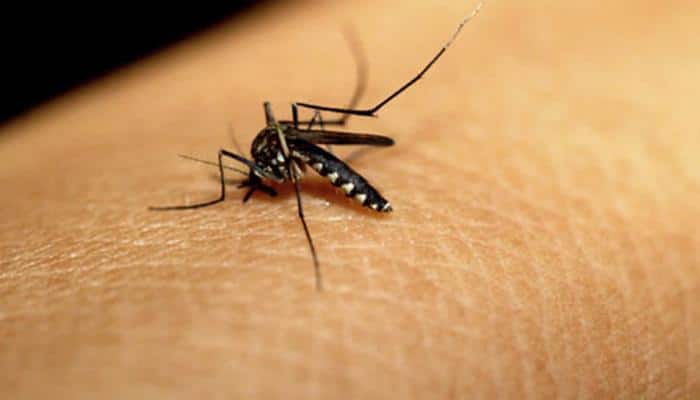 Dengue claims life of seven-year-old boy
