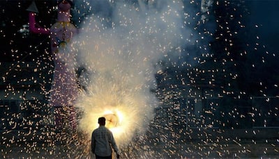 Chhattisgarh bans use of firecrackers in six cities