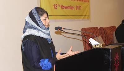 Killing militants won't wipe out militancy in Jammu and Kashmir: Mehbooba Mufti