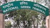Submit report on hotels at Mahipalpur: NGT to Delhi govt