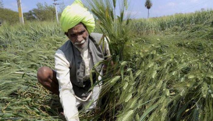 Rahul promises loan waiver for Gujarat farmers if Congress wins polls