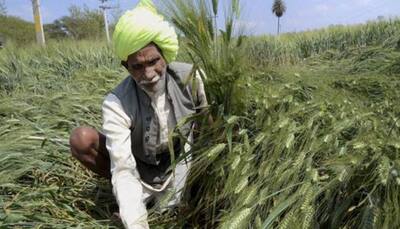Rajasthan govt spent Rs 5,893 cr on agri sector in 4 yrs: Minister