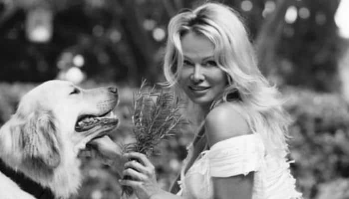 I wasn&#039;t victim blaming: Pamela Anderson