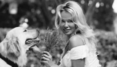 I wasn't victim blaming: Pamela Anderson