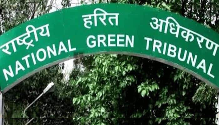 Ensure waste is not dumped in open: NGT to Shimla civic body