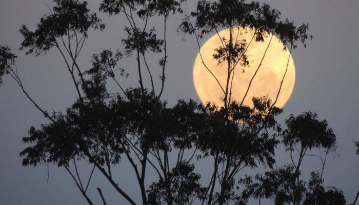 &#039;Supermoon&#039; brightens up skies for stargazers, Delhi misses the thrill